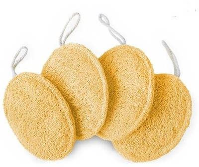 SkyWorld Loofah(Pack of 4, Brown)