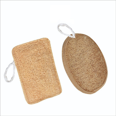 Runa Loofah(Pack of 2, Brown)