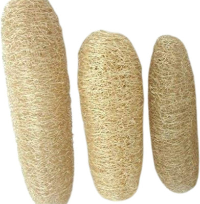 PGD Loofah(Pack of 3, Brown)