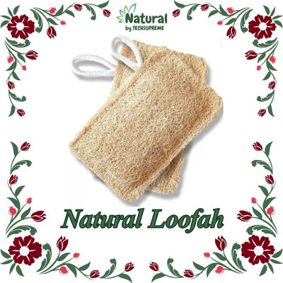 TechSupreme Loofah(Pack of 2, Brown)