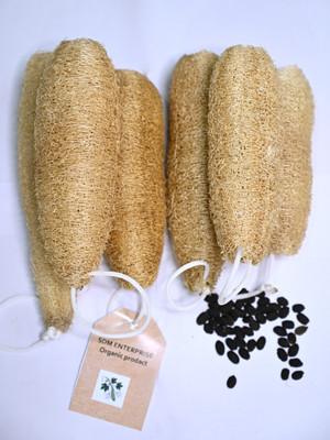 SDM Loofah(Pack of 6, Brown)