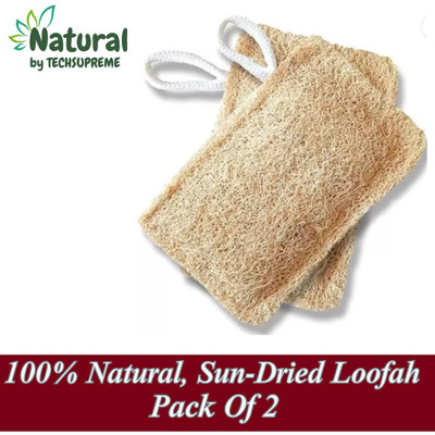 TechSupreme Loofah(Pack of 2, Brown)