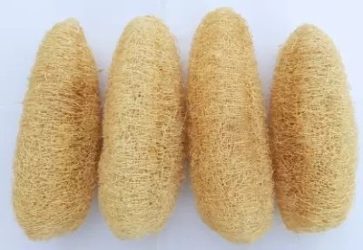 RAHATCOLLECTION Loofah(Pack of 4, Beige)