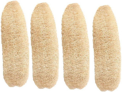 Pappa Loofah(Pack of 4, Brown)
