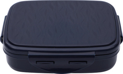 JAYPEE VEEL-RKBLUE 2 Containers Lunch Box(500 ml)