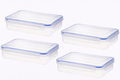 Aristo Multipurpose Storage Container For Home & Kitchen, Transparent 4 Containers Lunch Box(1100 ml)