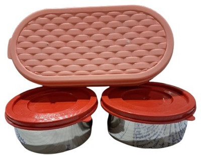 Gaurshikha Enterprises Lunch Box-2Steel Round Container 250ML,1 Plastic Oval Container 500ML Multicolor 3 Containers Lunch Box(1000 ml)