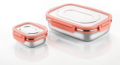 Tannu Craft Lunch Box Stainless Steel Airtight Leak-Proof Lid 2 Containers Lunch Box(800 ml)