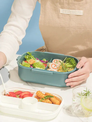 AKR BPA Free lunch box with inner box fork spoon food container 2 Containers Lunch Box(1100 ml, Thermoware)