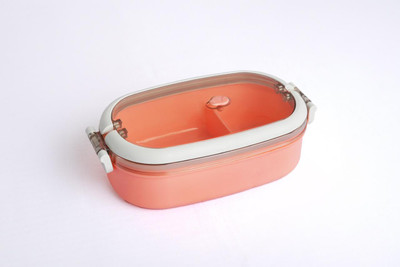 HURA ENTERPRISE Airtight Plastic Lunch Box with Divider 1 Containers Lunch Box(750 ml)
