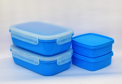 Plain Plastic Lunch Box (set of 4) For Multiple Uses Containers Lunch Box Blue 4 Containers Lunch Box(500 ml)