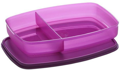Signoraware Food Grade Plastic Lunch Box Tiffin Container for School Office Outdoor 1 Containers Lunch Box(610 ml)