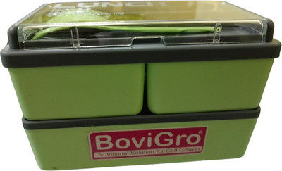 Rkgservices Lunchbox_1400ml_001 2 Containers Lunch Box(1400 ml)