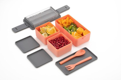 AAK DOUBLE DECKER LUNCH BOX 2 Containers Lunch Box(750 ml)