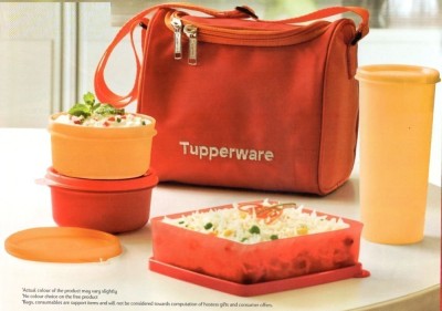 TUPPERWARE Best Plastic Lunch Box Set and Lunch Bag 4 Containers Lunch Box(340 ml)