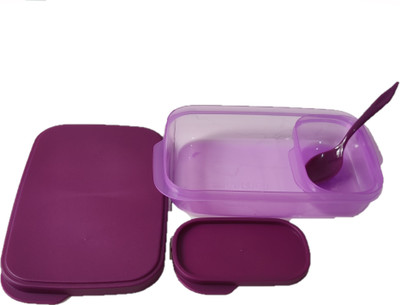 NETMAX Unbreakable Divine 2 Containers Lunch Box(500 ml)