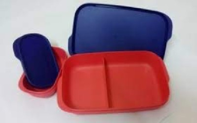 TUPPERWARE Plastic 2 Containers Lunch Box(500 ml)