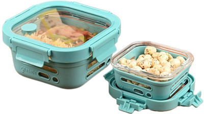 GLASAFE Fresh Grip & 520ml - Set of 2 2 Containers Lunch Box(840 ml, Thermoware)