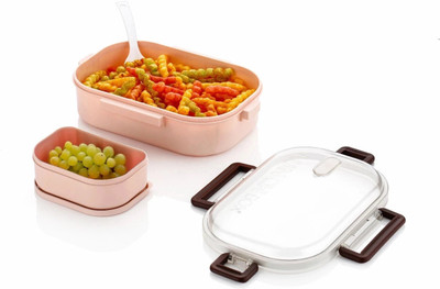 CONQUER Plastic Launch Boxes 2 Containers Lunch Box(700 ml)