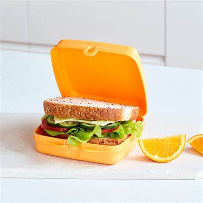 Modular penguin sandwich kepper for sanwich and fruit 1 Containers Lunch Box(400 ml)