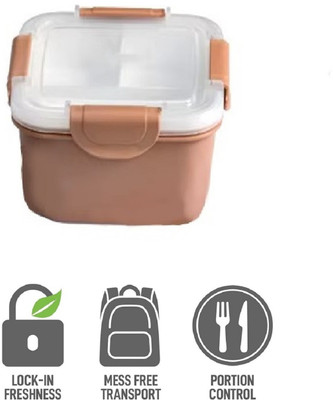 AKR Double Layer Large Portable BPA Free 3 Compartment Square Plastic Food Container 2 Containers Lunch Box(1200 ml)