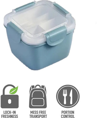 AKR BPA FREE Large Portable BPA Free 3 Compartment Plastic Container Lunch Box 2 Containers Lunch Box(1200 ml)
