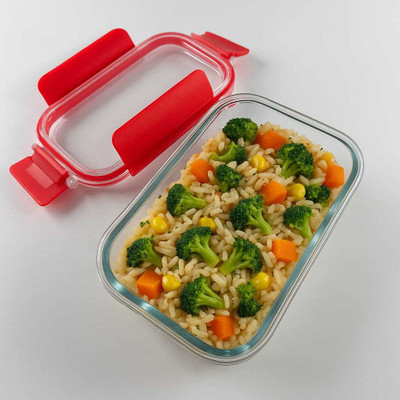 The Gift Nest Tiffin Box 1 Containers Lunch Box(300 ml)