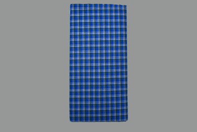 Shyam handloom Checkered Blue Lungi