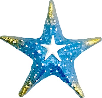 SUPER SOUVENIRS 3D Star fish (Metalic Blue) Fridge Magnet Pack of 1(Blue)