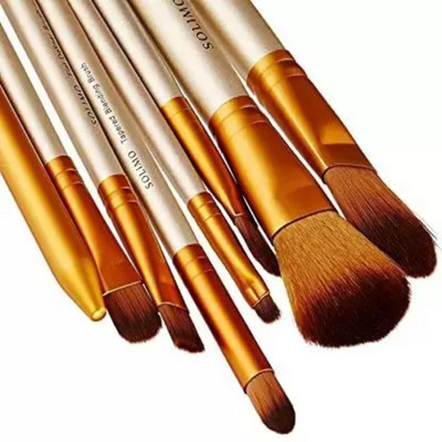 PLESSIS Makeup Brush Set Of 12 + 2 Pcs Menow Beauty Blender (2 Items in the set)(Pack of 14)