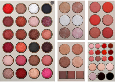 COSLUXE PROFESSIONAL All in one 5 in 1 Makeup Eyeshadow Highlighter Blush Contour Lip Palette