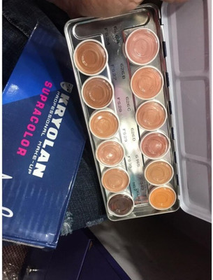 KRYOLAN SupraColor Palette 12 Color ( Delhi 1 ) Foundation palette Foundation(MULTICOLOR, 40 ml)