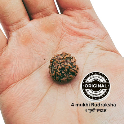 House Spiritual ENTERPRISE Original 4 Mukhi/Faced Rudraksha four-Faced Orignal Pendant For Unisex Wooden Yantra(Pack of 1)