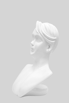 Triock Mannequin Display Case