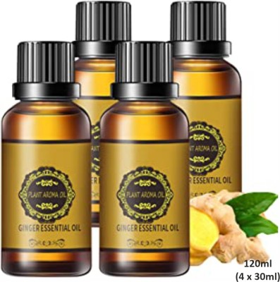 Donnara Organics Belly Reduce Flat Tummy Ginger Massage oil Pack of 4 30 ML(120 ML)(120 ml)