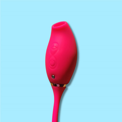 BunnyToys 00233 mini massager Massager(rose)