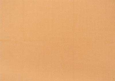 Adore Fleece Baby Bed Protecting Mat(Instadry Anti-Piling Fleece Extra Absorbent Quick Dry Sheet Beige, Small)