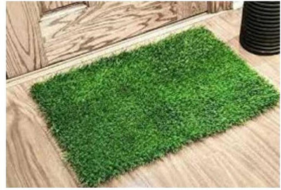 RAINBOW GALLERY Artificial Grass Floor Mat(Green, Free)