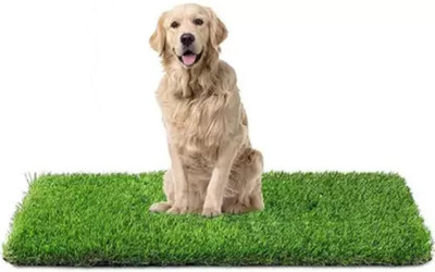 Worthful Creations Polyester Floor Mat(Green, Medium)