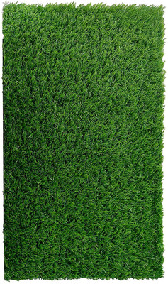 Worthful Creation PP (Polypropylene) Door Mat(Green, Medium)
