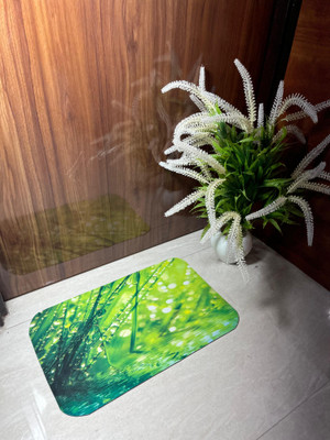 WISELOOK Rubber Door Mat(Green, Medium)