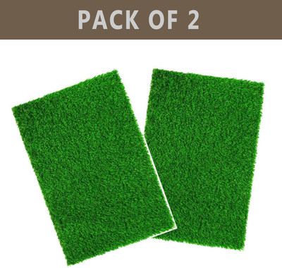 Worthful Creation PP (Polypropylene) Door Mat(Green, Medium, Pack of 2)