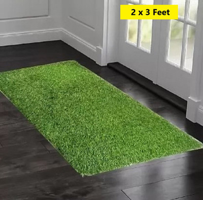 HOMELY VIBES Artificial Grass Door Mat(Green, Small)