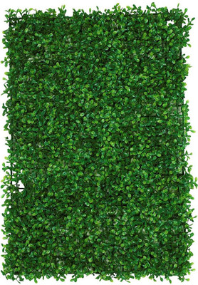 SBTs Plastic Chatai Mat(Green, Free)