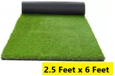 CHETANYA LOOMTEX Artificial Grass Floor Mat(Green, Free)