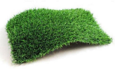 WebDealz PVC (Polyvinyl Chloride) Door Mat(Green, Medium)