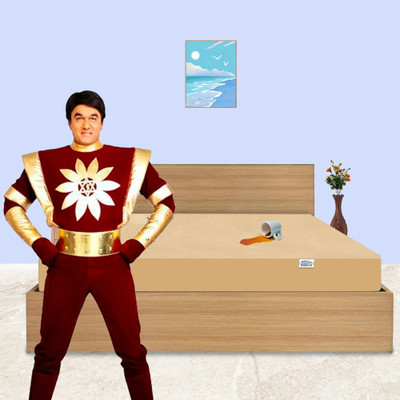 GADDA CO Double Size Fitted Terry Cotton Waterproof, Breathable, Stretchable Mattress Cover(Beige)