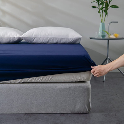 Kittenbite Queen Size Fitted Terry Cotton Breathable, Stretchable, Waterproof Mattress Cover(Blue)