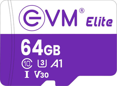 EVM EETF/64GU3 U3 V30 64 GB TF Card Class 10 100 MB/s  Memory Card Compatible with Computer