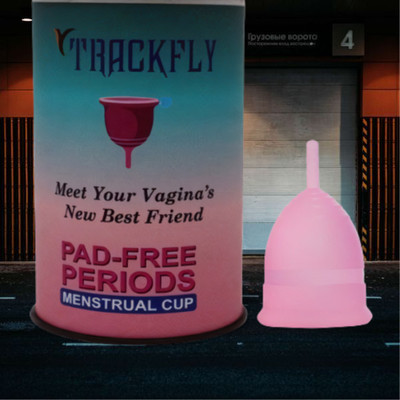 house of common Large Reusable Menstrual Cup(Pack of 1)